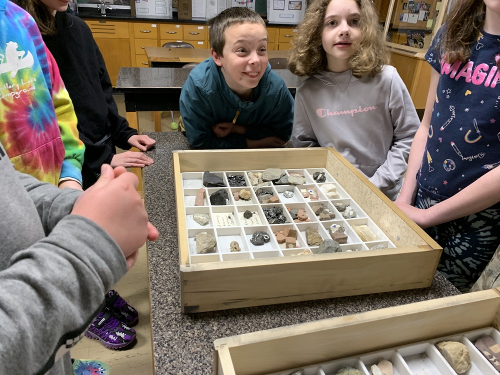 Students viewing rocks in a tray during science class