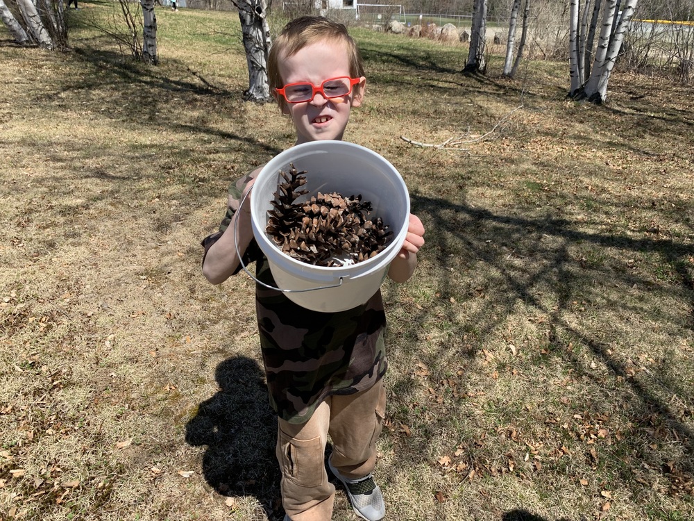 Child holding a bucket of pinecones 