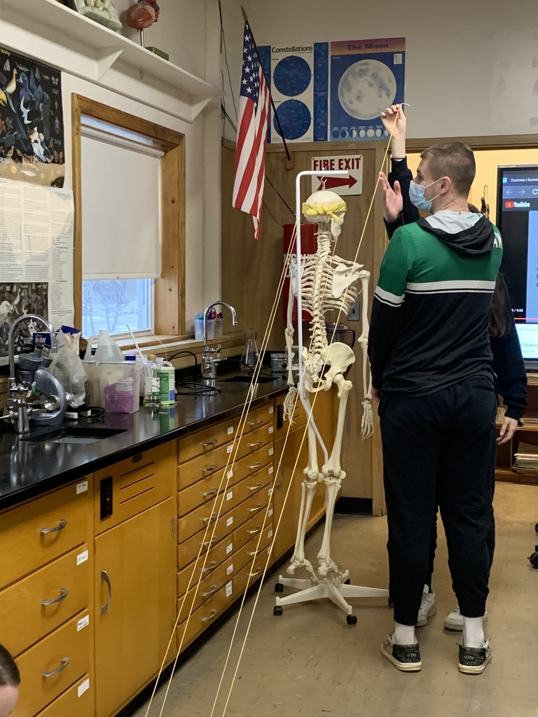 Student with classroom skeleton 
