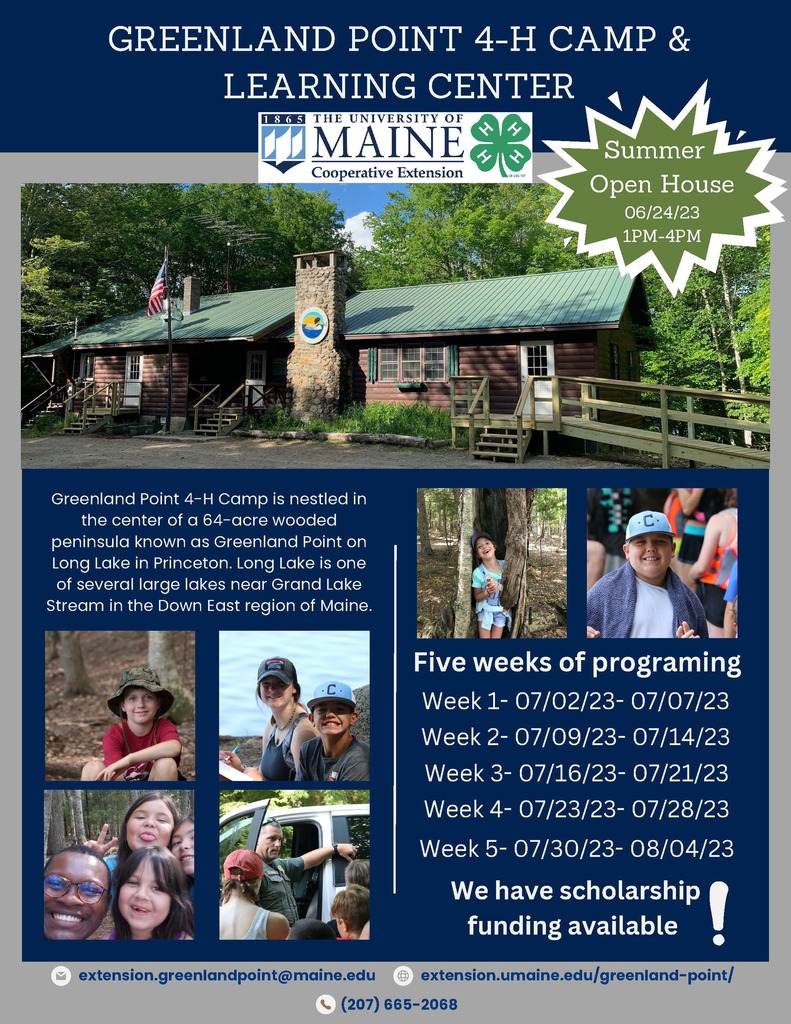 Brochure for Greenland Point 4H Camp